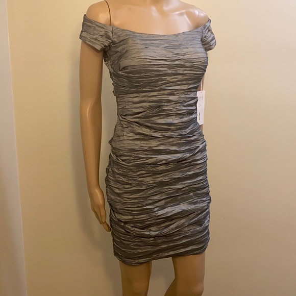 NWT ALEX Bridal & Formal Dress Platinum Size 4